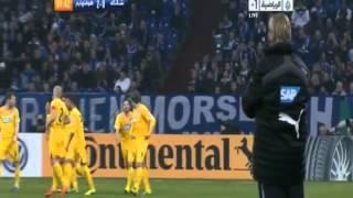 HD Kevin Volland Goal ~ Schalke vs Hoffenheim 0-2 - 03/12/13