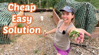 Essential High Elevation Gardening Tip to Increase Yield