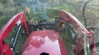 8' Weeds - Easy Bush Hogging Day in Massey Ferguson 4707