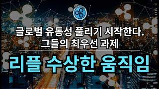 리플 실제상황 (feat. XRP to the moon)