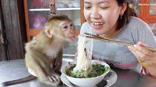 Wohoo!! [Try Dont To Laugh] Moly Cry Angry Mom Not Feed Khmer Noodle Him | Donal Try To Ask Mom