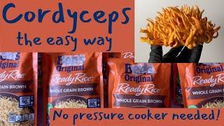 The EASIEST Way to Grow Cordyceps Mushrooms | Uncle Ben’s Tek