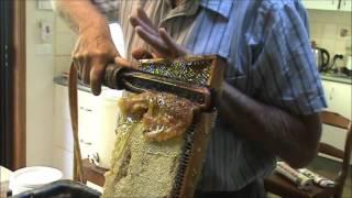 Beekeeping: Honey Flow w Broken Ribs.