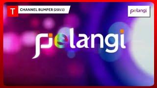 Channel Bumper (2011): Pelangi (by Astro)