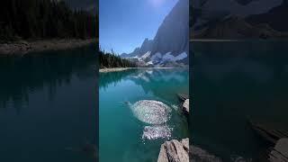 That feeling of diving into an alpine lake 🩵 #hiking #canada #kootenaynationalpark