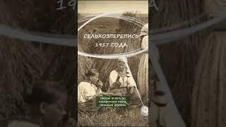 Предки - крестьяне. Где искать архивные документы? #история #семья #генеалогия