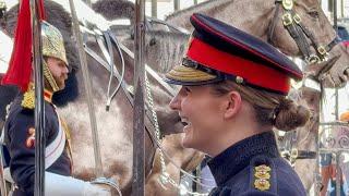 Captain Returns with Angelic Smiles to Inspect the King’s Guards