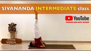 Discover the BEST 60 Minute Sivananda Yoga Routine for Intermediate Practitioners