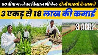 विदेशी हरा सोने की खेती से किसान मालामाल  Giant King Grass Fodder Hara Chara Dairy farm