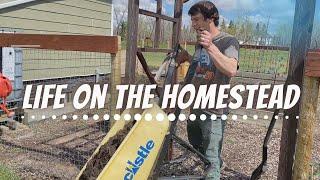 GARDEN UPDATE |  Acreage Life in Alberta, Canada