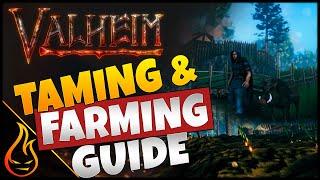 Ultimate Boar Taming And Farming Guide For Valheim