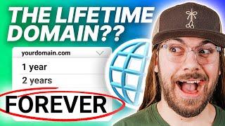 Buy Domains For Life? | Epik Lifetime Domain Review