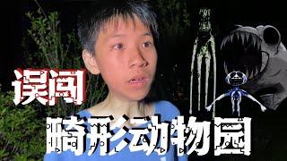 畸形动物园真人版，兄弟俩误闯园区，要寻找对应积木才能逃离