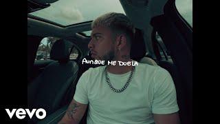 Gonzy - AUNQUE ME DUELA (Visualizer)