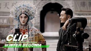 Winter Begonia 鬓边不是海棠红 | Cheng Fengtai makes a movie for Shang Xirui 二爷为蕊哥拍电影留影像 | iQIYI