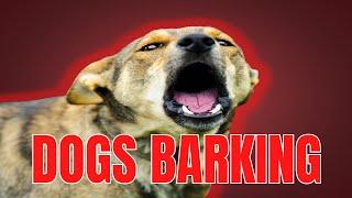 DOGS BARKING | ANGRY DOGS BARKING!! Sound Effects | Make Your Dog go Crazy