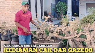 CEK HARGA BONSAI TERBARU!! KEDIAMAN CAK DAR KETUA RANTING PPBI JENGGAWAH GEZEBO HARGA BERSAHABAT