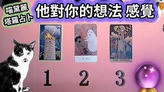 【字幕】他對你的想法&感覺真心話️ #喵黛麗塔羅