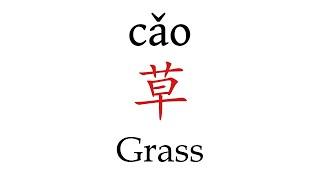 How To Say 'Grass' (草) in Mandarin Chinese