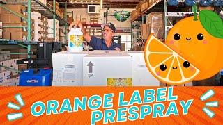 Orange Label PreSpray for Carpet & Upholstery