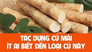 Củ mài (Hoài sơn): Vị thuốc cổ truyền phổ biến trong hơn 2000 năm