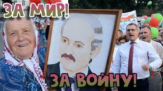 Ябатьки поджали хвосты. Жуть!