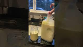 How I Separate Cream From Raw Milk #rawmilk #homesteadcortes