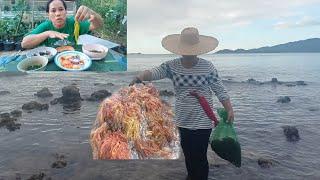 Nanguha ako ng seaweeds at ginawang fertilizer