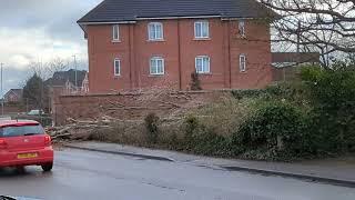 Crewe tree surgeon incident