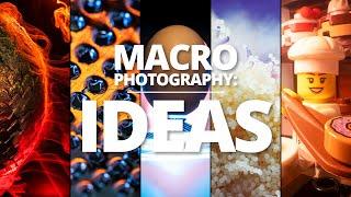 Macro photography project ideas to try at home in 2025!