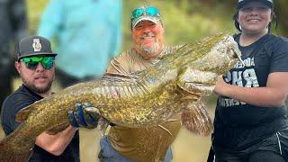 CATCHING FLATHEADS in CREEKS! OKLAHOMA NOODLING