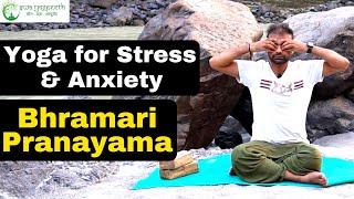 Yoga for Stress & Anxiety | Bhramari Pranayama | भ्रामरी प्राणायाम | Swa Yogpeeth