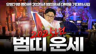 2025년 범띠운세 Full 영상 l 오방기로 뽑아본 대박나는 호랑이 기운