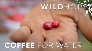 How Sustainable Coffee Farms Could Save This African Forest | WILD HOPE