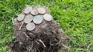 Metal Detecting Nz: Solo Hunt with the Equinox 800