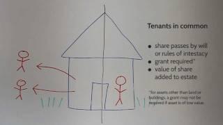 Joint tenants and tenants in common