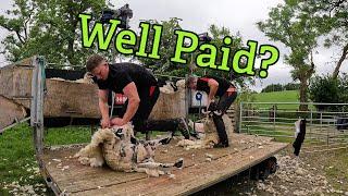 How much does a Sheep Shearer make?