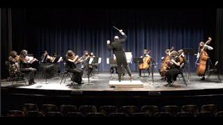 Simple Symphony Mov. 2: Benjamin Britten, "Playful Pizzicato"