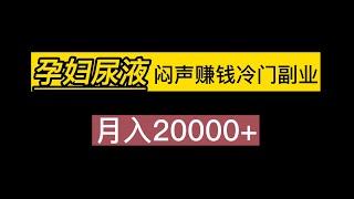 闷声赚钱冷门副业，月入20000+