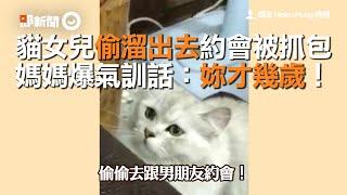 貓女兒偷溜出去約會被抓包　媽媽爆氣訓話：妳才幾歲！｜寵物動物｜貓咪｜搞笑｜精選影片