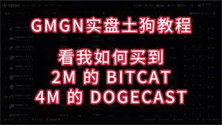 GMGN实盘土狗教程，刚好抓到2M市值的BITCAT和4M市值DOGECAST，收益瞬间翻倍，玩土狗就是那么简单