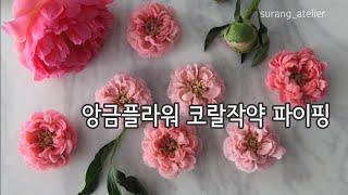 앙금플라워 코랄작약 연속 짜기 Peony piping 힐링영상