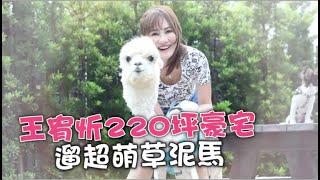 【獨家】女歌手北市220坪豪宅養草泥馬　聘老公前妻當保母 | 蘋果新聞網