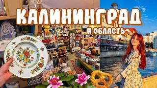 72 часа в Калининграде  лучшие кафешки, уютные места, МОРЕ и лес 