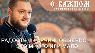 Архимандрит Савва (Мажуко). О важном. Радость с горчичное зерно - это много или мало? (Звук улучшен)