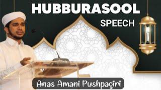 HUBBURASOOL SPEECH ||ANAS AMANI