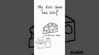 Why Does Cheese Have Holes? 