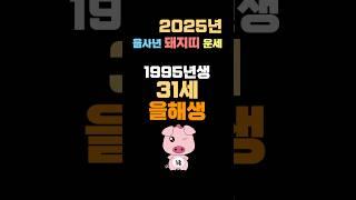 돼지띠 신년운세_1995년생 31세 돼지띠 사주 재물운 취업운 용한무당 유명한점집