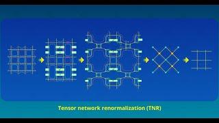 Tensor Networks Across Physics