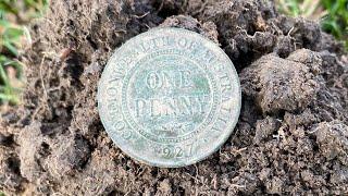 Metal Detecting Nz : Park Hunt with the Vanquish 540